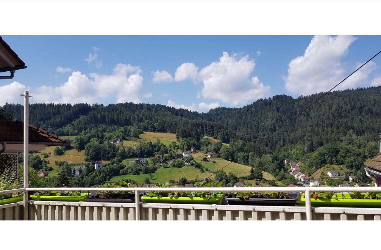 Talstadtblick Schramberg Exterior foto